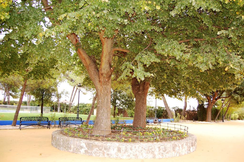 Hotel El Cortijo De Daimiel Extérieur photo